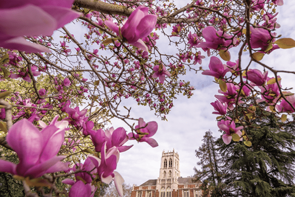 Faye Spanos Hall - March and April